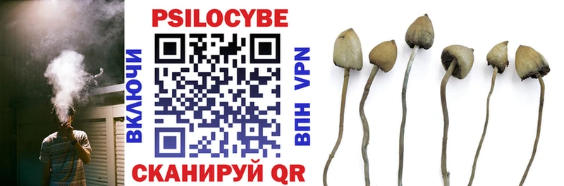 сколько стоит  Щёлково  Галлюциногенные грибы Psilocybe 